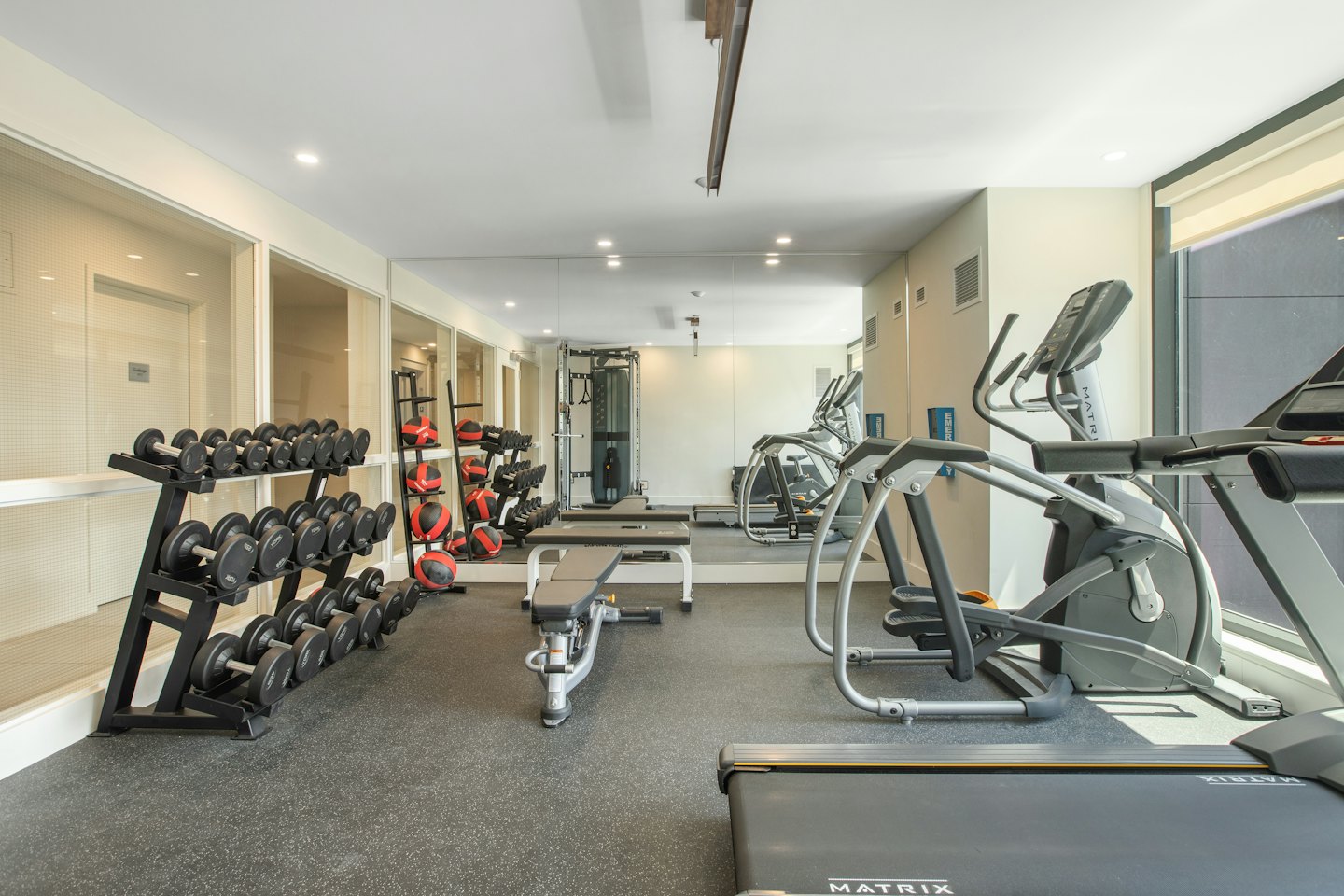 Gimnasio moderno con mancuernas, balones medicinales y máquinas de cardio.